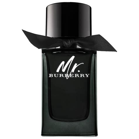 burberry mr burberry edp 100 ml|mr burberry price.